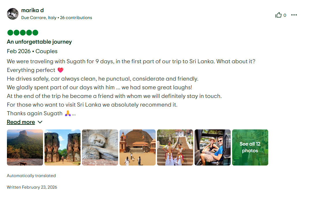 TripAdvisor Review 5
