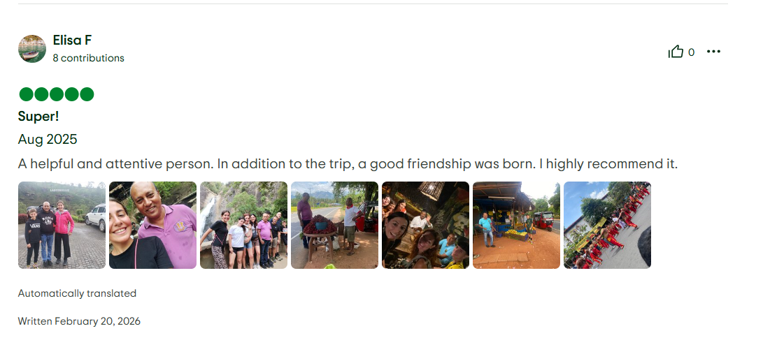 TripAdvisor Review 7