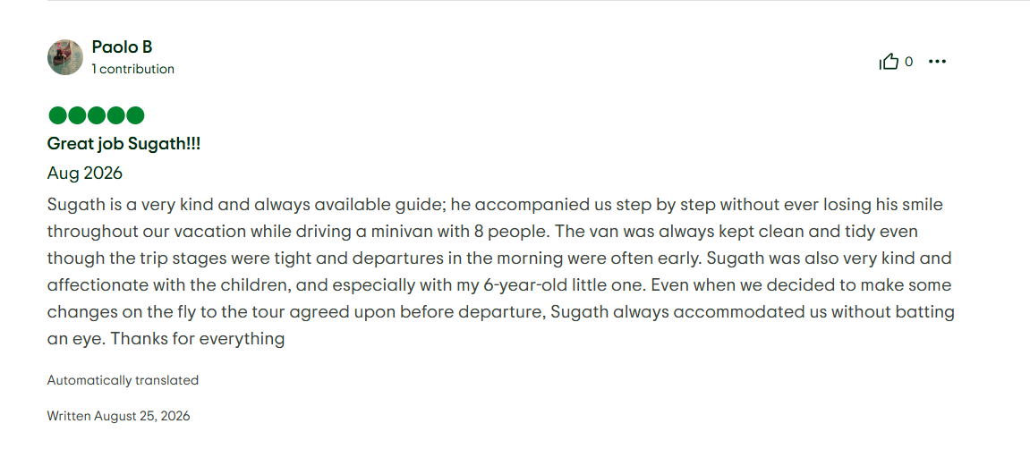 TripAdvisor Review 8
